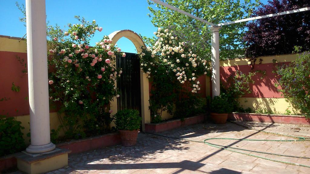 Complejo Turistico Y Fuente De La Salud Apartment